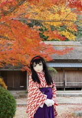 2012_1119_160224AAa.jpg