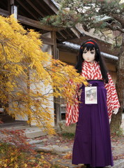 2012_1119_160330AAa.jpg