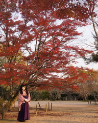 2012_1119_160512AAa.jpg
