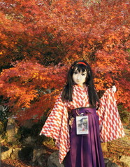 2012_1119_160824AAa.jpg