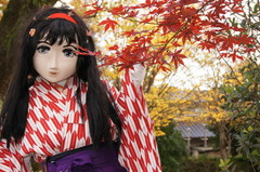 2012_1119_161452AAa.jpg