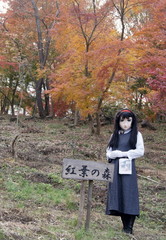 2012_1120_152713AAa.jpg