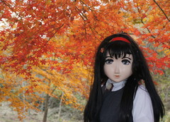 2012_1120_153742AAa.jpg