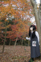 2012_1120_154454AAa.jpg