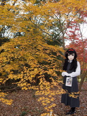 2012_1120_154610AAa.jpg
