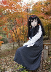 2012_1120_155030AAa.jpg