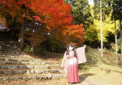 2012_1121_143304AAa.jpg
