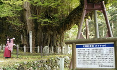 2012_1121_143842AAa.jpg