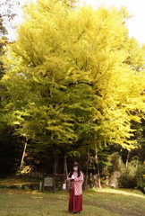 2012_1121_144152AAa.jpg