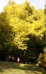 2012_1121_144940AAa.jpg