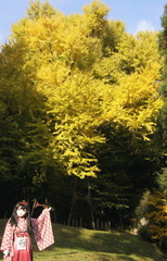 2012_1121_145130AAa.jpg