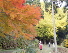2012_1121_145514AAa.jpg