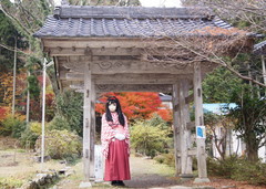 2012_1121_150120AAa.jpg