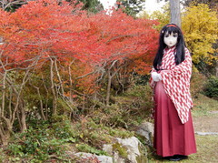 2012_1121_150202AAa.jpg