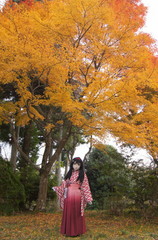 2012_1121_150354AAa.jpg