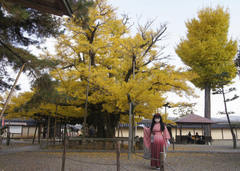 2012_1122_131834AAa.jpg