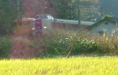 2012_1128_133015AAa.jpg