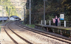 2012_1128_134458AAa.jpg
