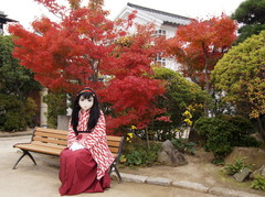 2012_1129_100859AAa.jpg