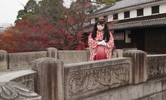 2012_1129_101207AAa.jpg