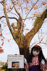 2012_1201_152658AAa.jpg