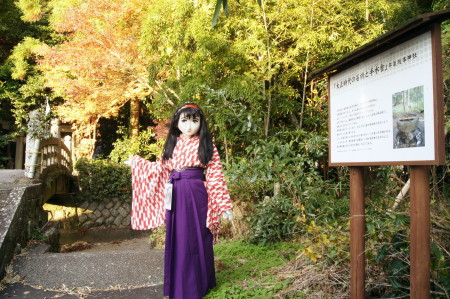 2012_1201_160750AAa.jpg