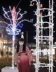 2012_1220_210845AAa.jpg