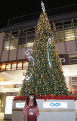 2012_1220_212752AAa.jpg