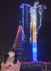 2012_1223_193932AAa.jpg