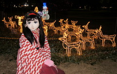 2012_1223_194750AAa.jpg