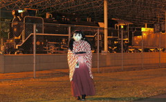 2012_1223_195316AAa.jpg