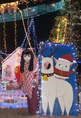 2012_1223_204402AAa.jpg