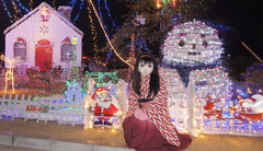 2012_1223_204608AAa.jpg