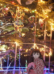 2012_1223_205336AAa.jpg
