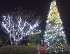 2012_1223_213924AAa.jpg
