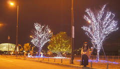 2012_1224_210040AAa.jpg