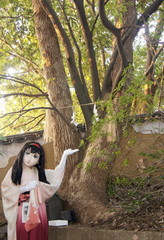 2013_0109_164708AAa.jpg