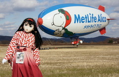 2013_0110_133920AAa.jpg
