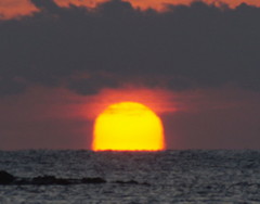 2013_0210_065237AAa.jpg