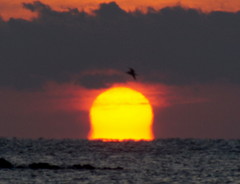 2013_0210_065303AAa.jpg