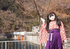 2013_0210_110650AAa.jpg