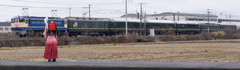 2013_0219_110756ABa.jpg