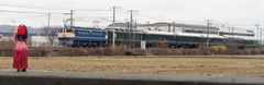 2013_0219_110822AAa.jpg