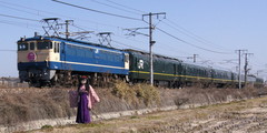 2013_0228_110700AAa.jpg