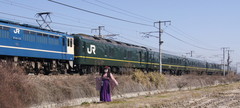 2013_0228_110702ACa.jpg