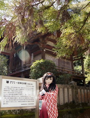2013_0303_122518AAa.jpg