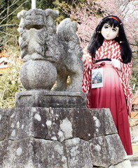 2013_0317_112826AAa.jpg