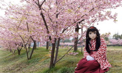 2013_0324_103320AAa.jpg