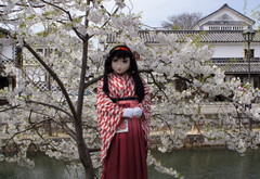 2013_0401_114802AAa.jpg