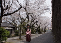 2013_0401_120946AAa.jpg